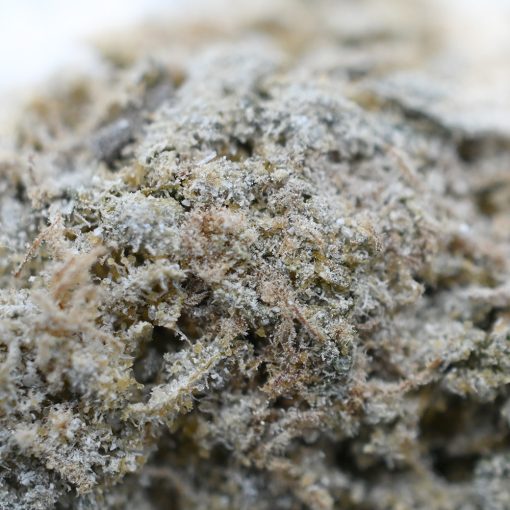 Popeyes Infused Spinach Rolls - Black Gas - Image 3