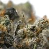 Death Bubba - Thunder Buddies - Image 3
