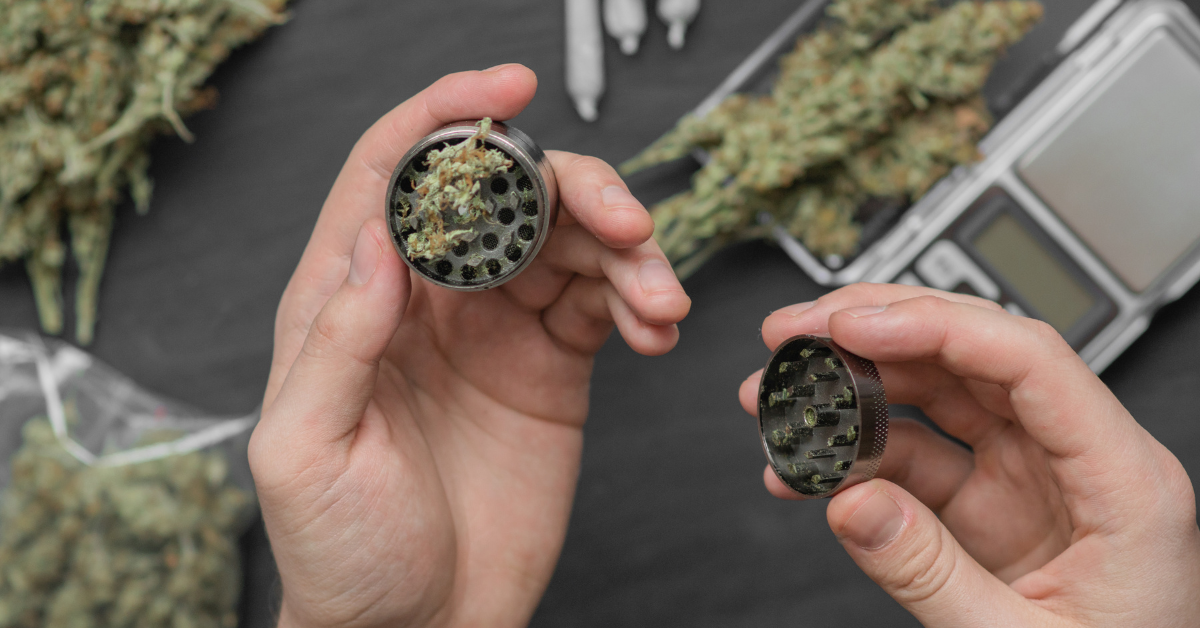 an open weed grinder with weed that's still inside