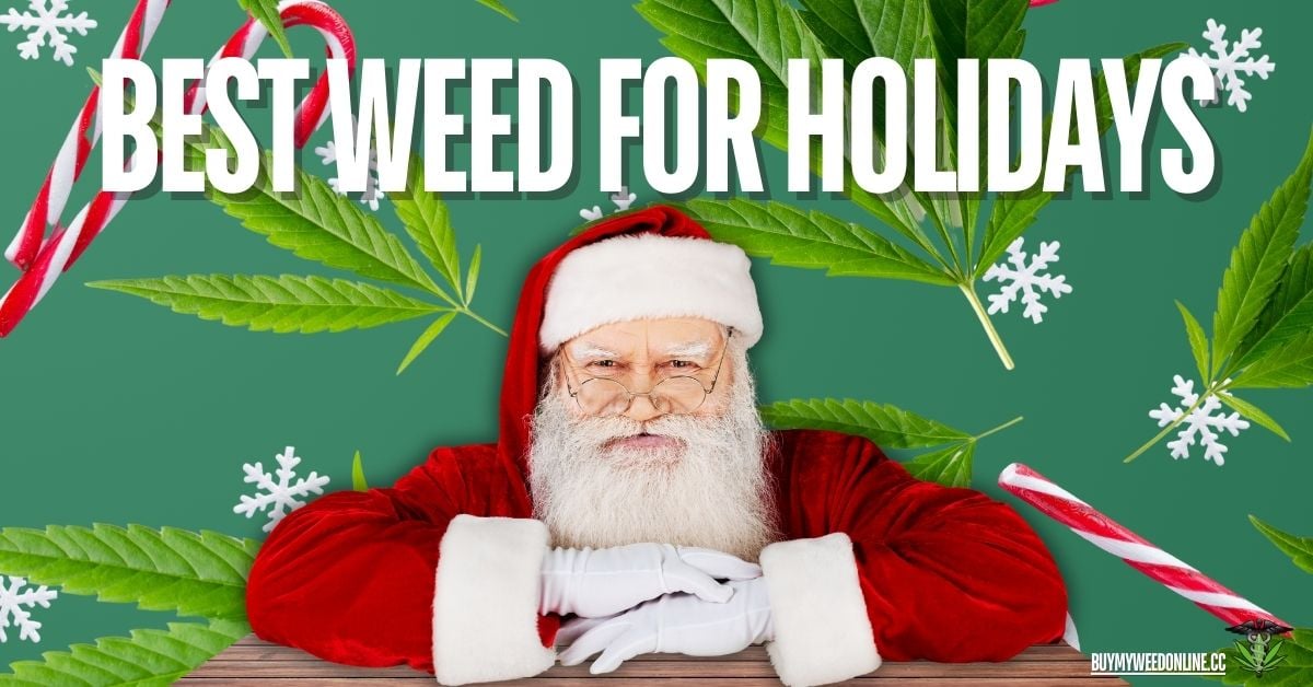 best weed for holidays featured image