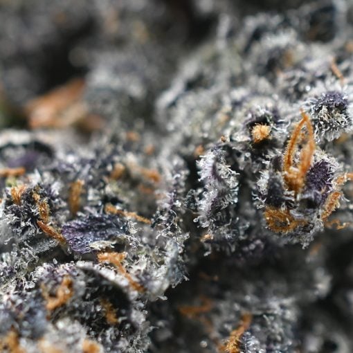 Grape Soda - Image 3