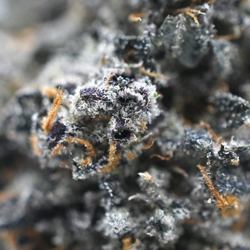 Grape Soda - Image 4