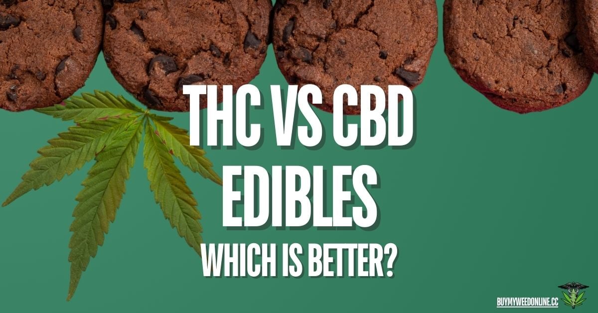 cbd vs thc edibles featured image