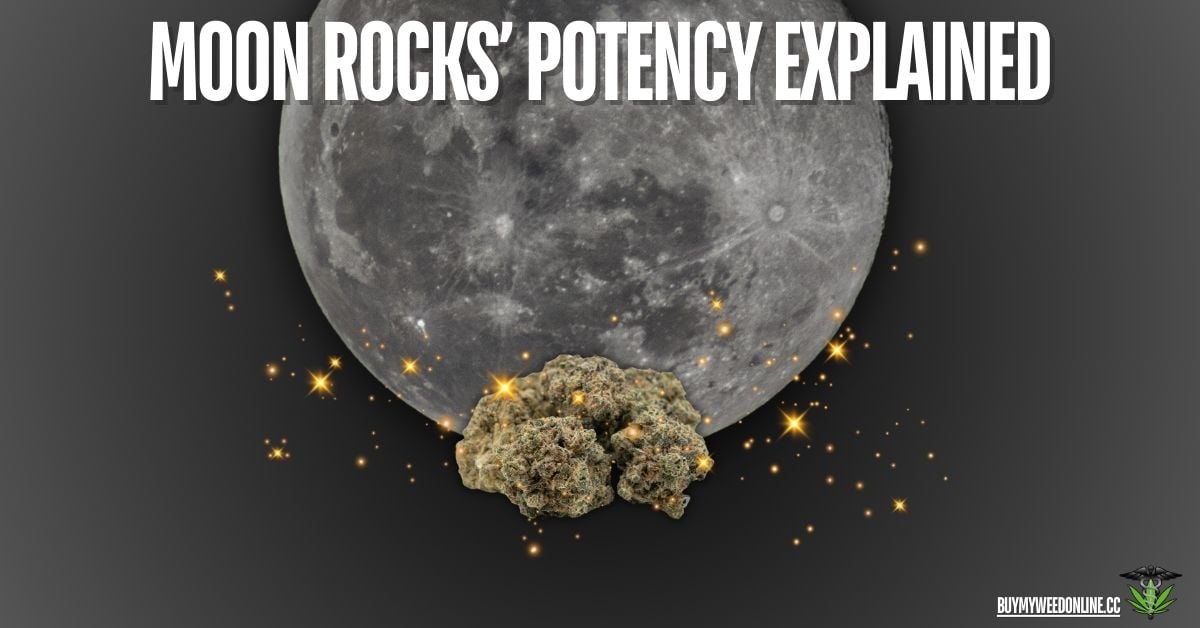 Moon Rocks’ Potency Explained: Everything You Need to Know