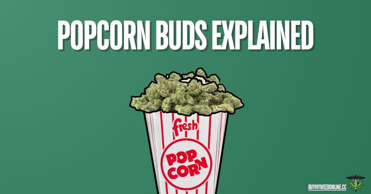 popcorn buds featured image