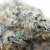 Rainbow Gushers - Popeyes Ganja Bags - Image 4