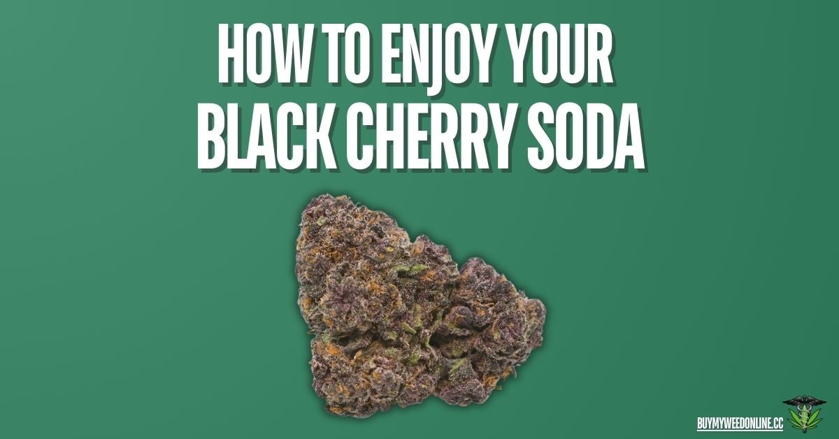 how to get the most out of your black cherry soda strain featured image