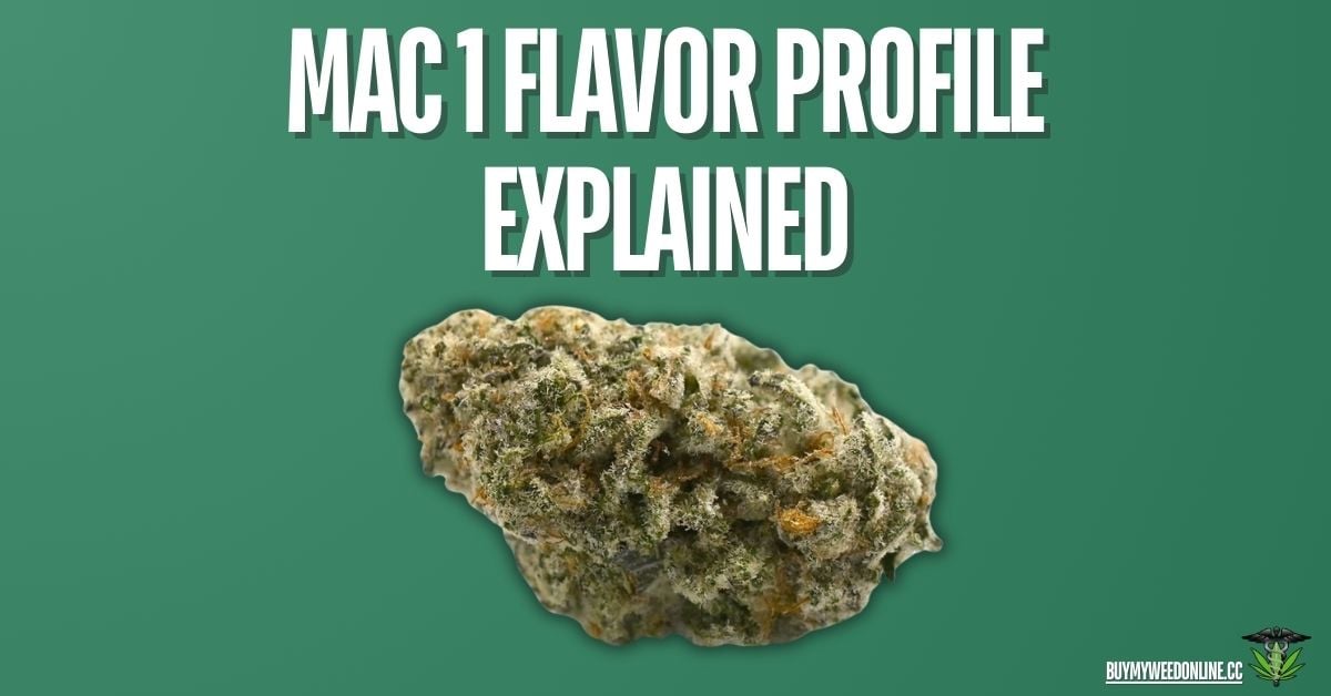 mac 1 flavor profile featured image