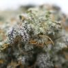 Black Widow- Popeyes Ganja Bags - Image 3