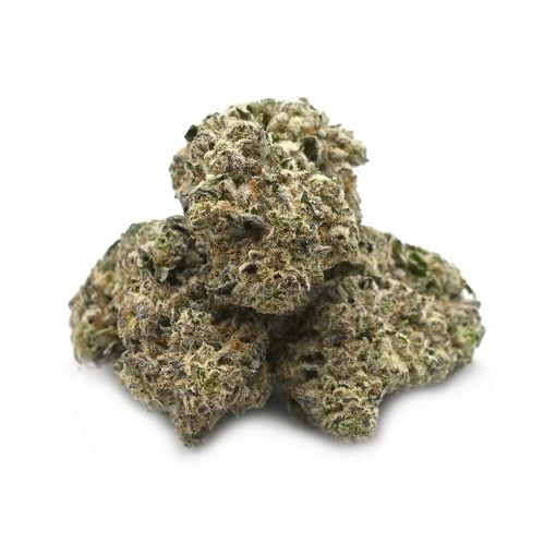 White Widow - Thunder Buddies - Image 2