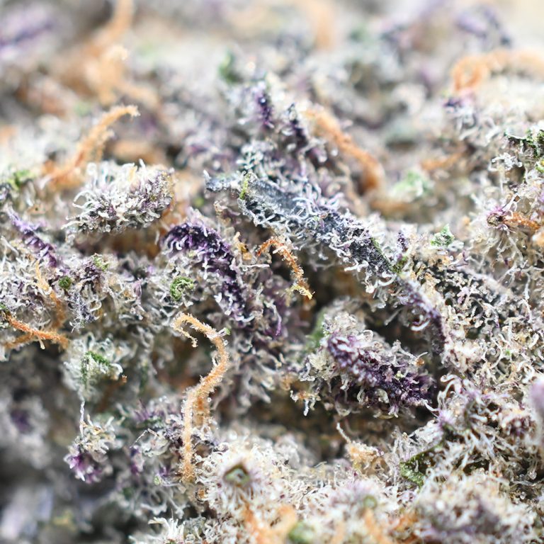 Mac n Cheese - Popeyes Ganja Bags Strain - July Special Offer - Buy My ...