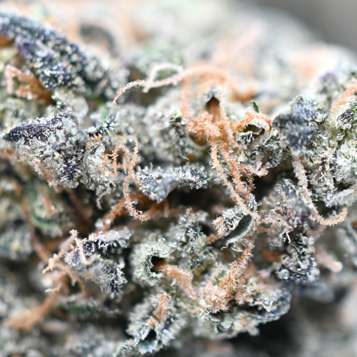 Pure Michigan - Popeyes Ganja Bags - Image 3