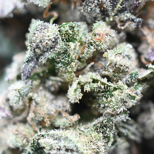 Pure Michigan - Popeyes Ganja Bags - Image 4