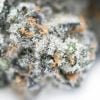 Tang Breath - Popeyes Ganja Bags - Image 4
