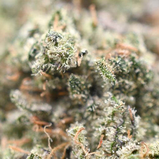 Blueberry Diesel - Popeyes Ganja Bags - Image 3