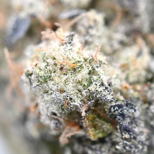 Alien OG - Popeyes Signature Series - Image 4