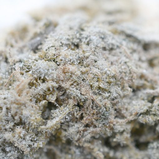 Popeyes Infused Spinach Rolls - Blueberry Diesel - Image 3