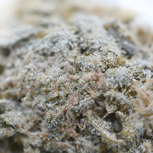 Popeyes Infused Spinach Rolls - Northern Lights - Image 3