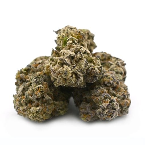 Kush Mintz - Thunder Buddies - Image 2