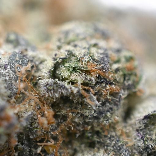 Simple Jack - Popeyes Ganja Bags - Image 3