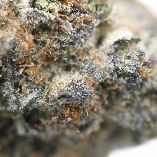 Simple Jack - Popeyes Ganja Bags - Image 4