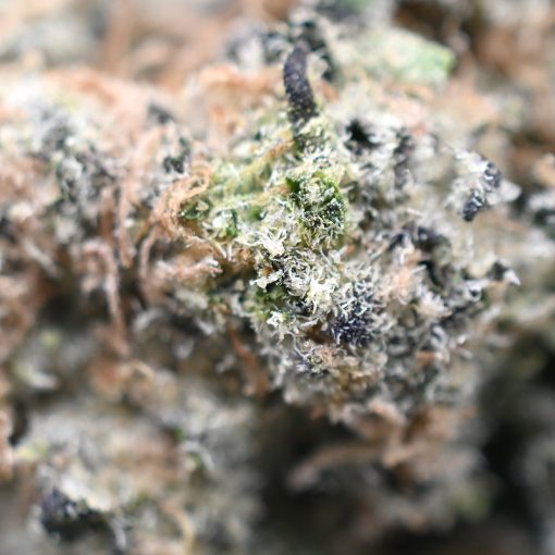 Cap Junky - Image 4