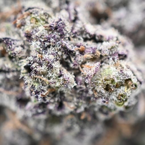 Raspberry Sherbert - Popeyes Ganja Bags - Image 4