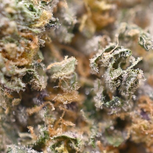 Banana Cream Cake  - Thunder Buddies - Image 3