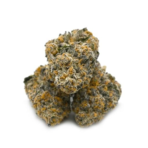Bubble Gum - Thunder Buddies - Image 2