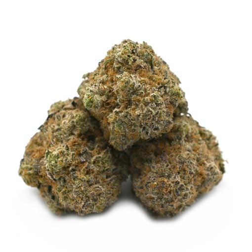 Maui Wowie- Thunder Buddies - Image 2