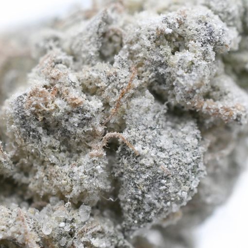 Popeyes Infused Spinach Rolls - Ghost Bubba - Image 3