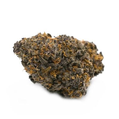 Pressure - Thunder Buddies