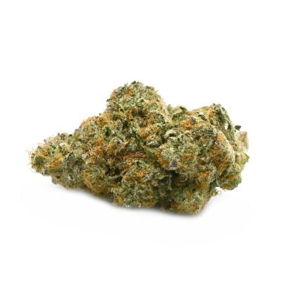 Slurricane - Thunder Buddies