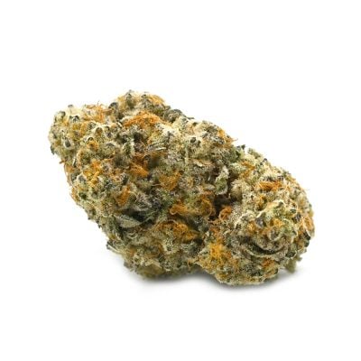 Gelonade - Popeyes Platinum Collection