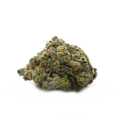 Purple Tom Ford - Thunder Buddies