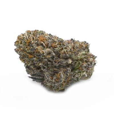 White Monkey- Popeyes Platinum Collection