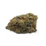 Jet Fuel