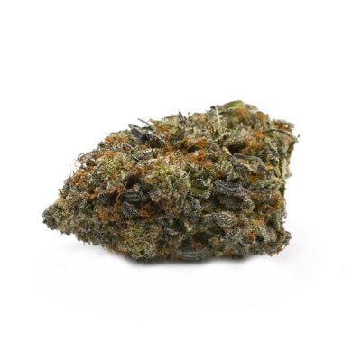 Jet Fuel