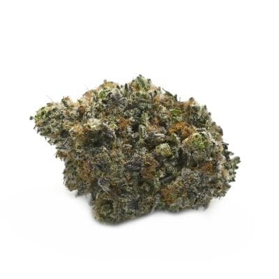 Northern Lights