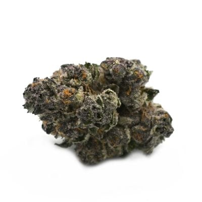 Mimosa