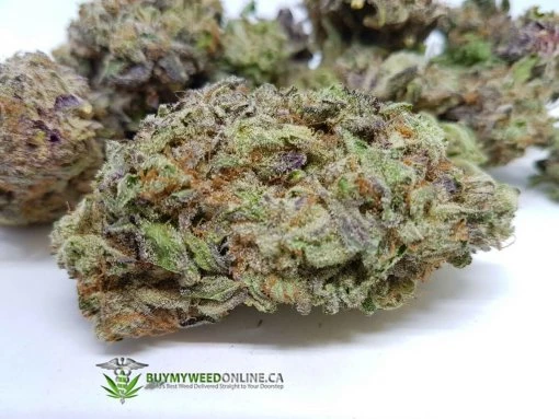 Ghost Train Haze