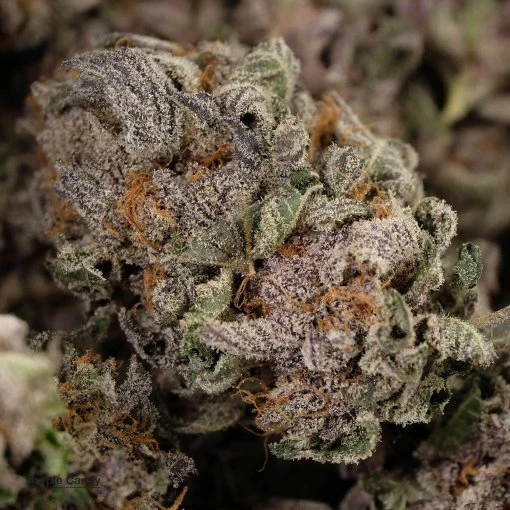 Purple Candy