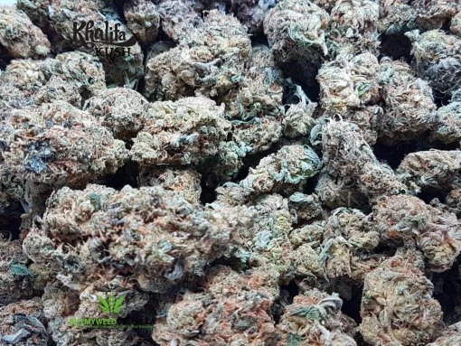 Khalifa Kush