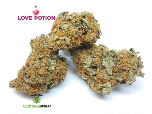 Love Potion #9