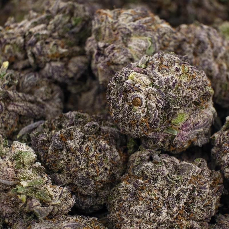 Black Mamba Strain