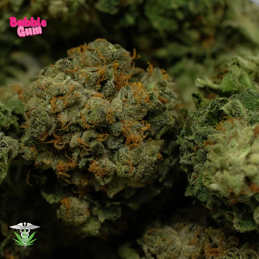 Bubble Gum Strain