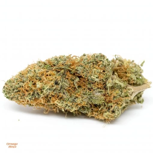 Orange Haze