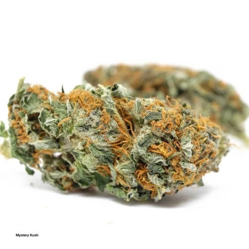 Mystery Kush (AA)