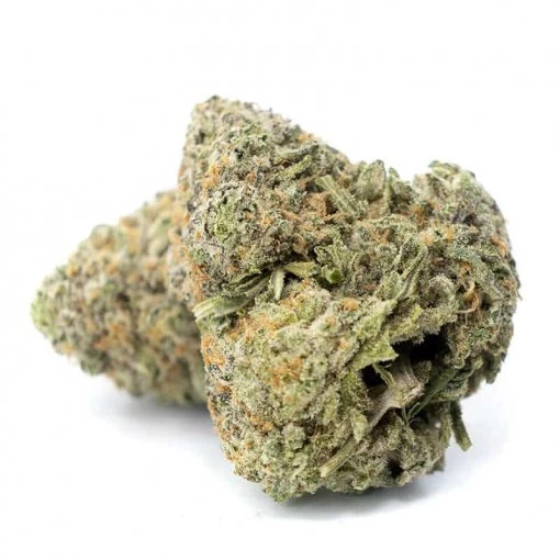 Alien OG