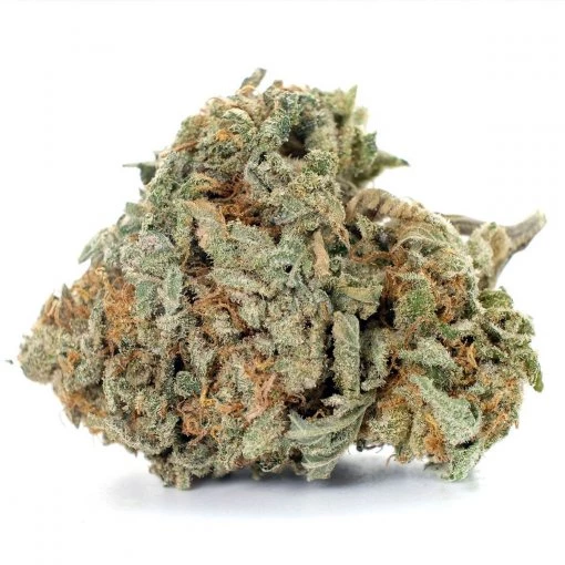 Gorilla Glue #4